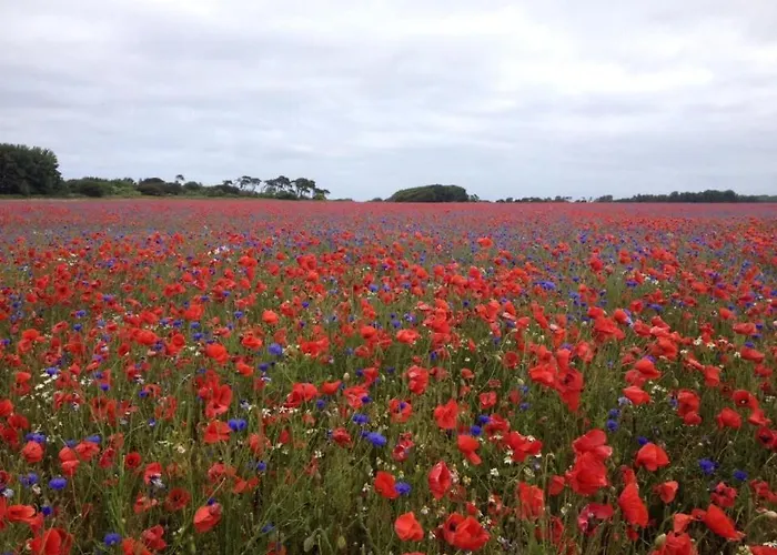 Haus Kranichfeld S Dranske