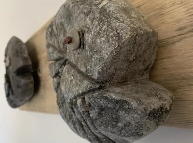 Haus Kranichfeld S Apartamento *